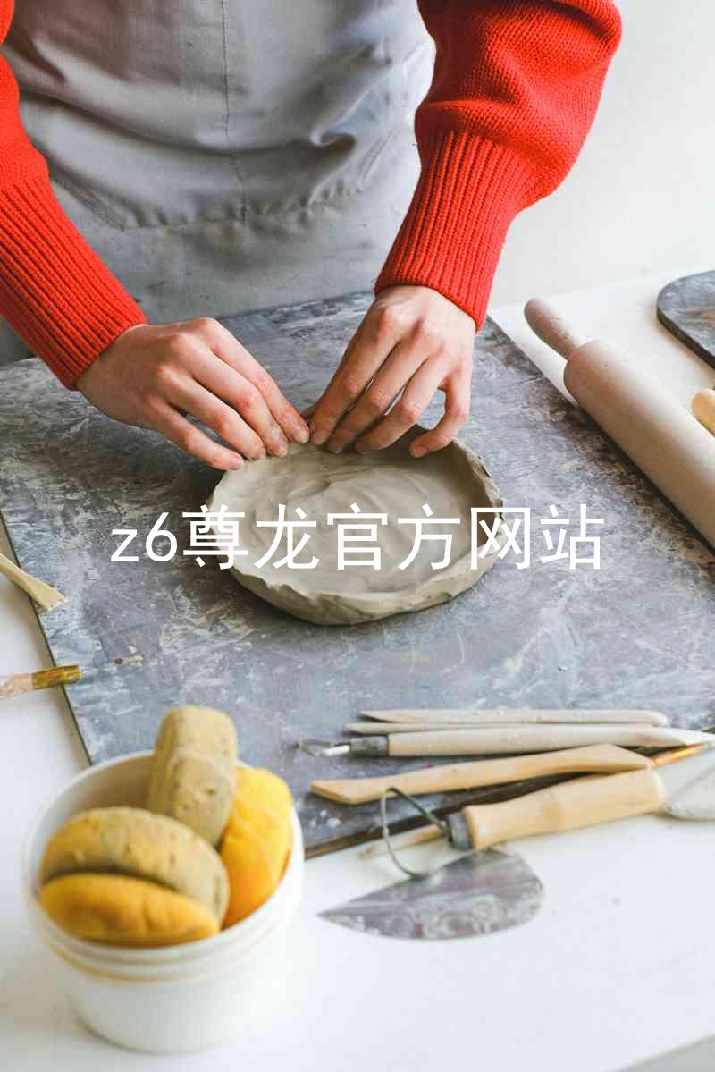 z6尊龙官方网站